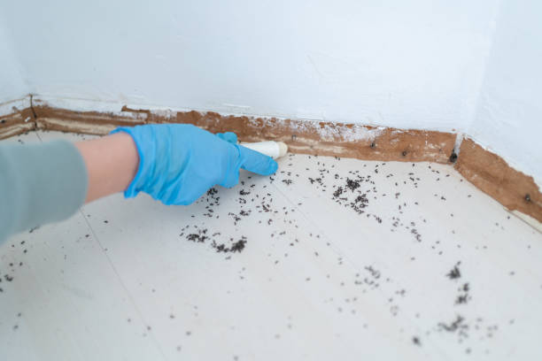 Best Pest Control for Multi-Family Homes  in Chesaning, MI